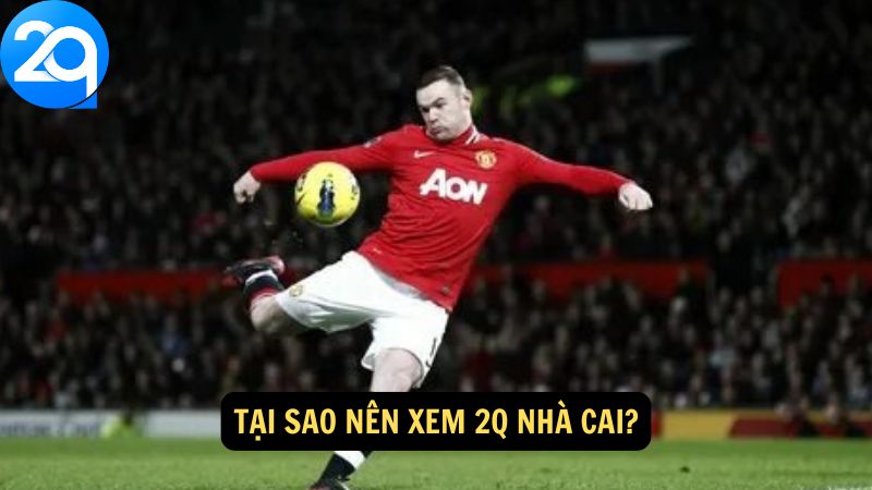xem-2q-nha-cai-2