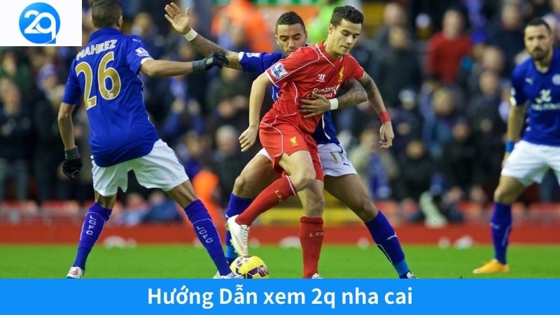 xem-2q-nha-cai-2