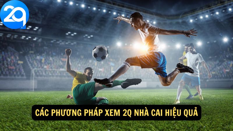 xem-2q-nha-cai-3