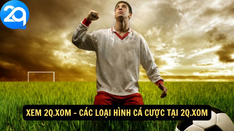 xem-2q-xom-2