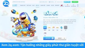 Xem 2q.xom: Tận hưởng những giây phút thư giãn tuyệt vời