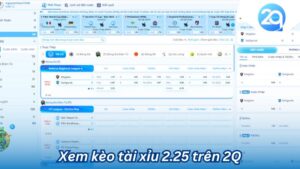 Xem kèo tài xỉu 2.25 trên 2Q: Thế giới của cá cược bóng đá