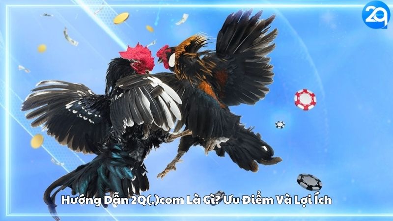 huong-dan-2q(.)com-1