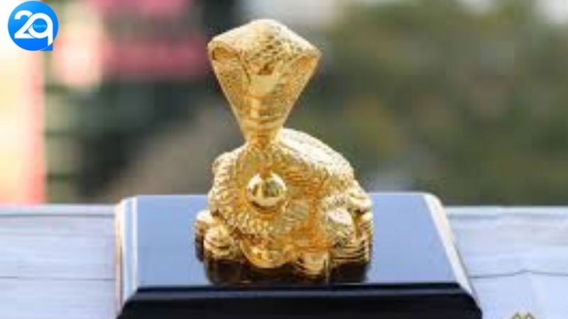 vat-pham-phong-thuy-nam-at-ty-1